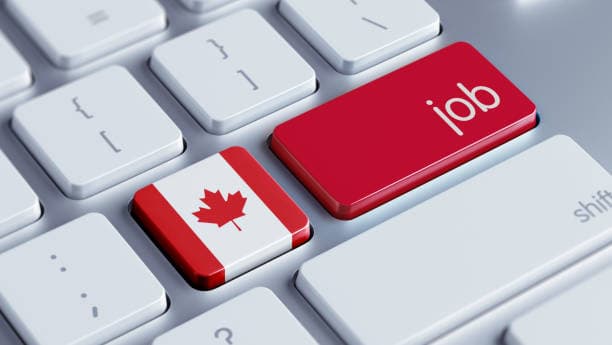 Top 12 In-demand Jobs In Canada