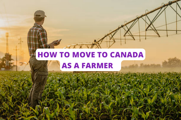 How To Move To Canada As A Farmer