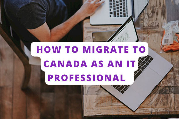 How To Migrate To Canada As An IT Professional