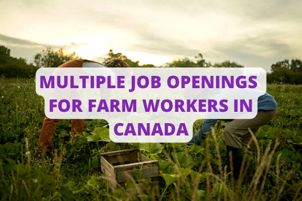 Multiple Job Openings For Farm Workers In Canada