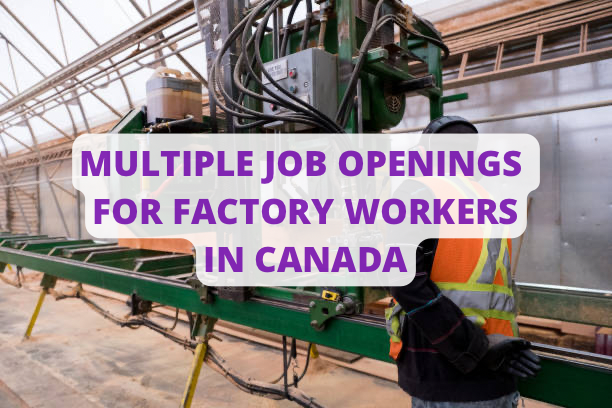 Multiple Job Openings For Factory Workers In Canada
