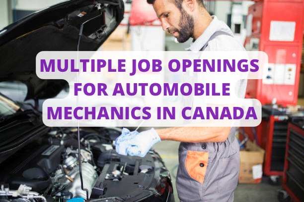 Multiple Job Openings For Automobile Mechanics In Canada