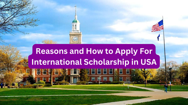 Reasons and How to Apply For International Scholarship in USA