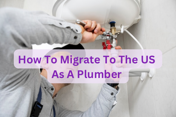 How To Migrate To The US As A Plumber