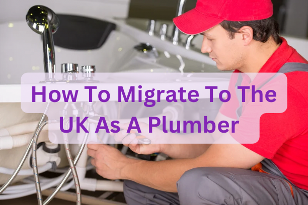 How To Migrate To The UK As As A Plumber
