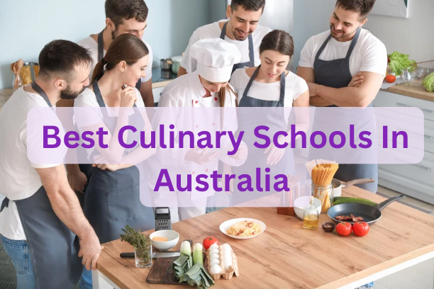 Best Culinary Schools In Australia