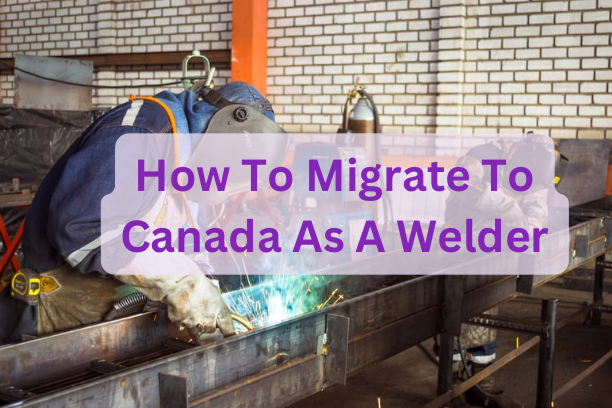 How To Migrate To Canada As A Welder