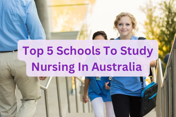 Top 5 Schools To Study Nursing In Australia