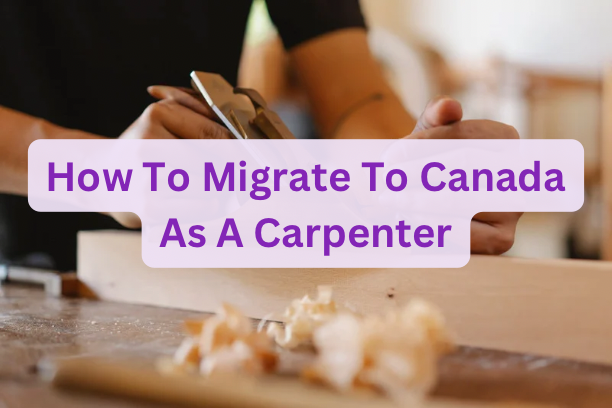 How To Migrate To Canada As A Carpenter