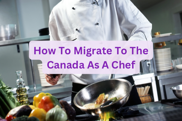 How to Migrate to Canada as a Chef