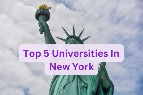 Top 5 Universities in New York