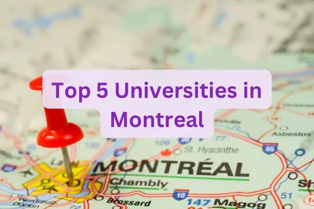 Top 5 Universities in Montreal