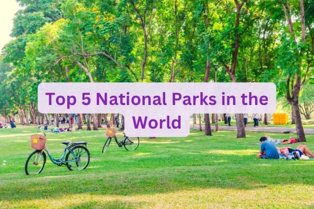 Top 5 National Parks in the World
