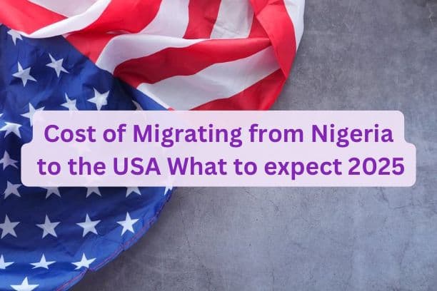 Cost of Migrating from Nigeria to the USA What to expect in 2025