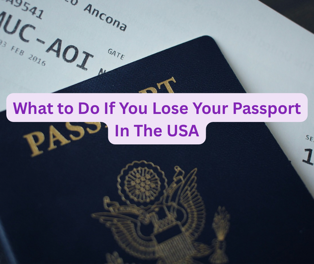 What to Do If You Lose Your Passport In The USA