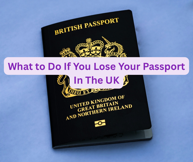 What To Do If You Lose Your Passport in the UK