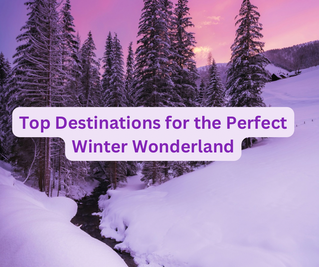 Top Destinations for the Perfect Winter Wonderland