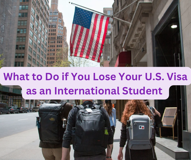 What to Do if You Lose Your U.S. Visa as an International Student