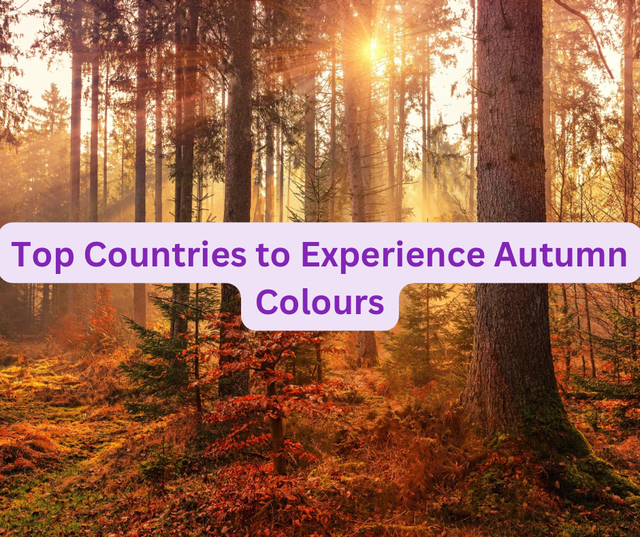 Top Countries to Experience Autumn Colours