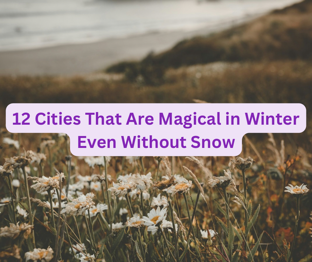 12 Cities That Are Magical in Winter Even Without Snow